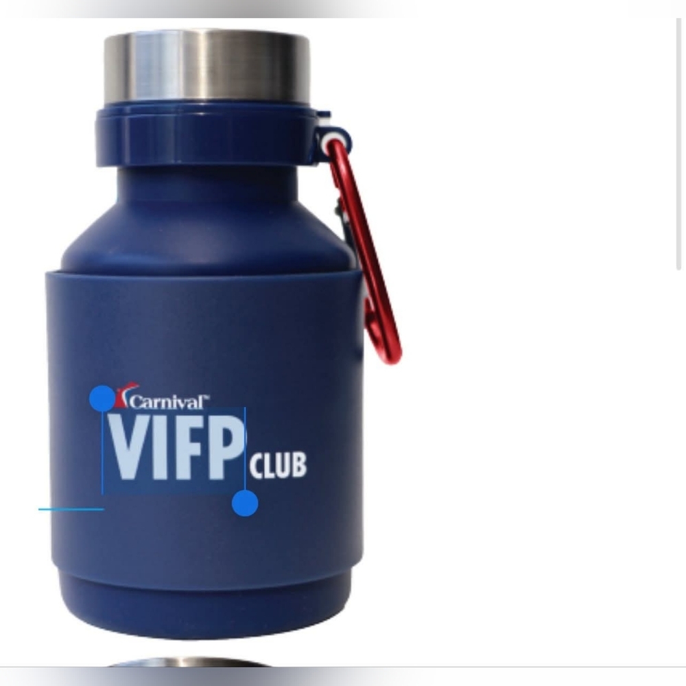 Carnival Cruise VIFP Silicone Collapsible Travel Water Bottle Platinum Gift 2025 - Picture 2 of 6